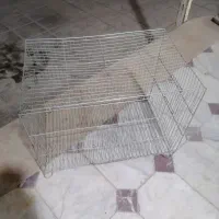 قفس قناری،مرغ عشق