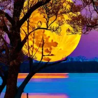 کمک به بانوان و افراد کم توان