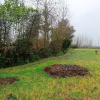 پکیج کامل(شالی،زمین،ویلاوباغ)کنارهم گیلان رشت سنگر|فروش خانه و ویلا|سنگر, |دیوار