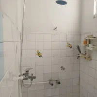 120متر دربستی حیاط دار شکوفه عارف شمالی شکوری|اجارهٔ آپارتمان|تهران, دژکام|دیوار