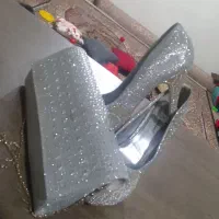 کفش وکیف ست