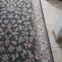 دوتخته فرش گرد وکناره ۷۰۰شانه طرح افشان|فرش|محمدشهر, علی آباد گونه|دیوار