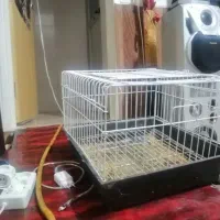 قفس  حیوانات