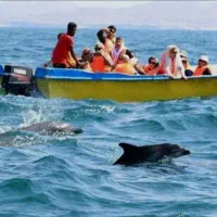 تور گشت جزیره هفتگانه قشم با خودرو هایلوکس|تور و چارتر|قشم, |دیوار