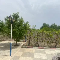 قطعه-باغ-جهت-سرمایه-گذاری-اطبا