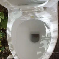 توالت فرنگی|لوازم سرویس بهداشتی|شاهرود, |دیوار