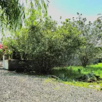 فروش زمین خطیب کلا ۲۰۰متربهترین شهرک سنددار|فروش زمین و ملک کلنگی|چمستان, |دیوار