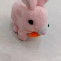 خرگوش ۲۰۰ تومان