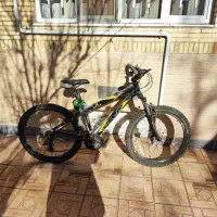 دوچرخه ویوا 24 اصل تایوان