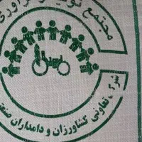 گندم دولتی آبی پیشگام