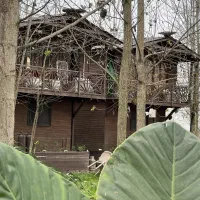 ویلای جنگلی غرق در آرامش طبیعت