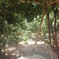 فروش-زمین-باغ-و-یلا