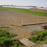 آموزش و پانسیون اسب|اسب و تجهیزات اسبسواری|پیشوا, |دیوار