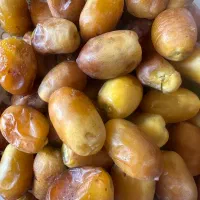 قصب تازه|خوردنی و آشامیدنی|شیراز, رکن‌آباد|دیوار