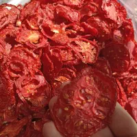 گوجه  خشک لوکس تولیدروز
