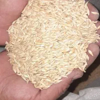 جو شهباد آبی