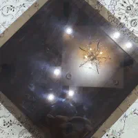 میز عسلی|مبلمان خانگی و میز عسلی|تهران, تختی|دیوار