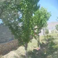 فروش زمین با استخر در روستای باغان با سند ششدانگ|فروش زمین و ملک کلنگی|شیروان (خراسان), |دیوار