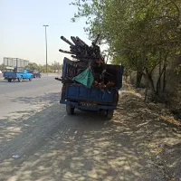 نیسان مدل ۸۶|خودرو سواری و وانت|تهران, زهتابی|دیوار