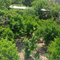 زمین-باغچه-سنددار-داخل-بافت-مسکونی