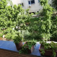 فروش آپارتمان ۱۱۲ متری بازسازی کوثر شمالی|فروش آپارتمان|مشهد, کوثر|دیوار