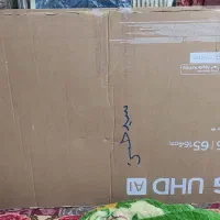 کارتون تلوزیون 65 اینج