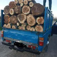 خرید انواع چوب تر و خشک میلانی