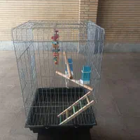 قفس پرنده