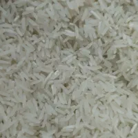 برنج فجر سوزنی|خوردنی و آشامیدنی|مزرعه کتول, |دیوار