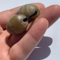 مهره سلیمانی ساسانی