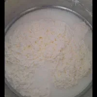 دوغ تازه تلمی گوسفند و بز باشرط