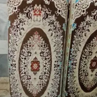 پشتی سالم   دونه