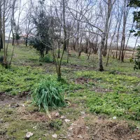 1000 متر زمین مسکونی