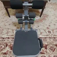 تن تاک درازونشست درحد