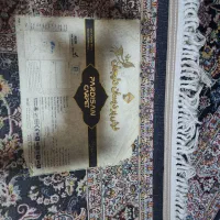 فرش پردیسان دلیجان ۷۰۰شانه|فرش|اهواز, زندوکیلی|دیوار
