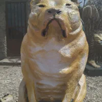 مجسمه|مجسمه، تندیس، ماکت|کرمان, |دیوار