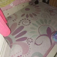 ۱عددفرش۶متری