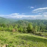 فروش زمین روستایی ۴۰۰۰ متری در منطقه کوهپایه ای|فروش زمین و ملک کلنگی|رشت, گیل|دیوار