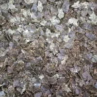 مقداری کنجاله تخمه آفتابگردان و کنجد موجود است