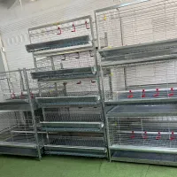 خرید قفس به قیمت درب کارخانه