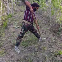 کارگر بیل زنی علف زنی باغبانی|خدمات باغبانی و درختکاری|ارومیه, |دیوار