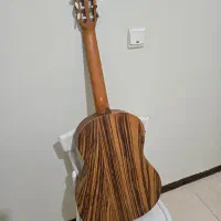 گیتار پارسی مبتدی|گیتار، بیس، امپلیفایر|تهران, سازمان برنامه شمالی|دیوار