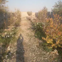 باغچه کاظم اباد جابری۳|فروش دفتر صنعتی، کشاورزی، تجاری|مشهد, کاظم آباد پنجشنبه|دیوار