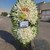 همه مشتری حرگون گلی یا تاج گل سبد درختمت هستیم|خدمات پذیرایی، مراسم|اسلامشهر, شهرک سعیدیه|دیوار