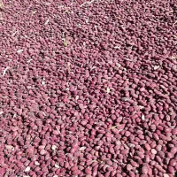 لوبیاقرمز|خوردنی و آشامیدنی|پاسارگاد, |دیوار