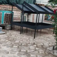 پالت میوه