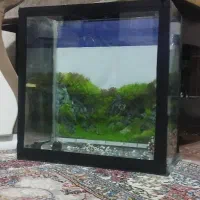 اکواریوم
