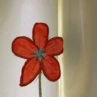 فروش پرده