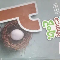 کتاب کار  ماجرای بیست جامع