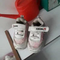 حراج|حراج|رشت, ولکس|دیوار